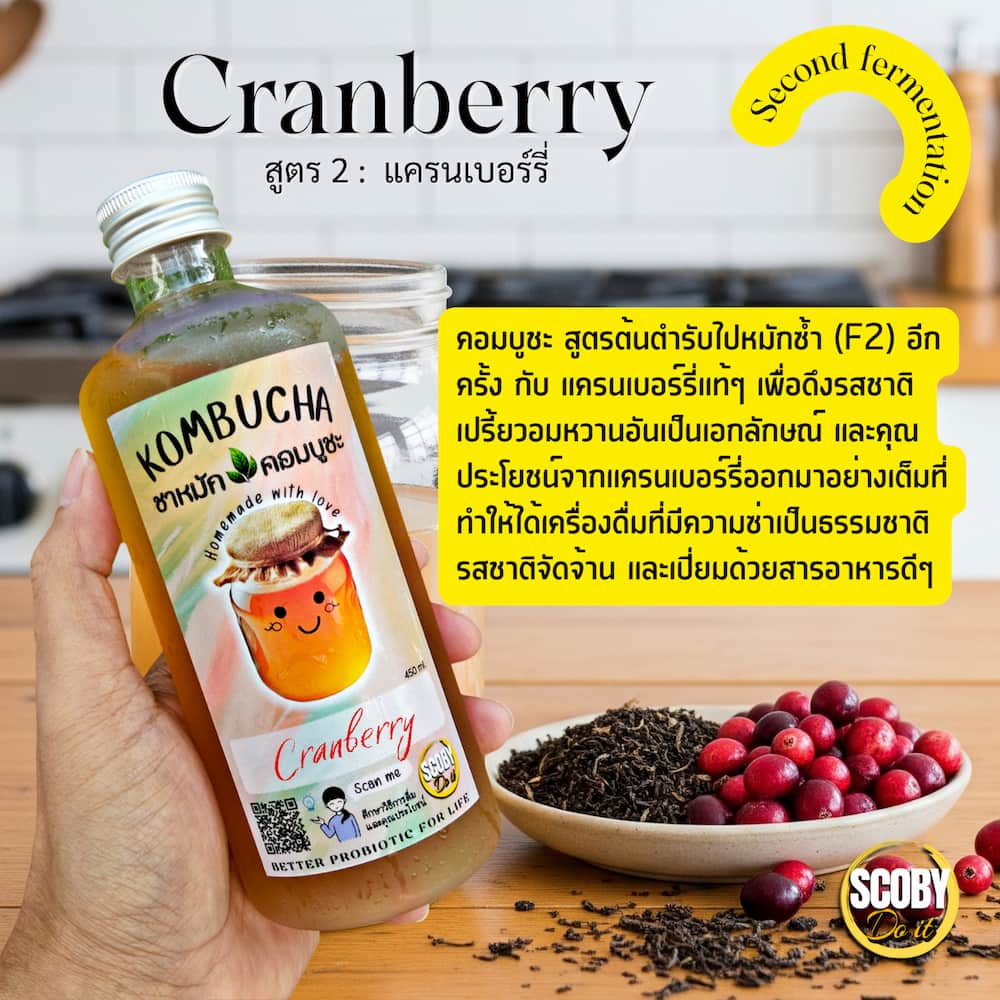 เครื่องดื่ม kombucha