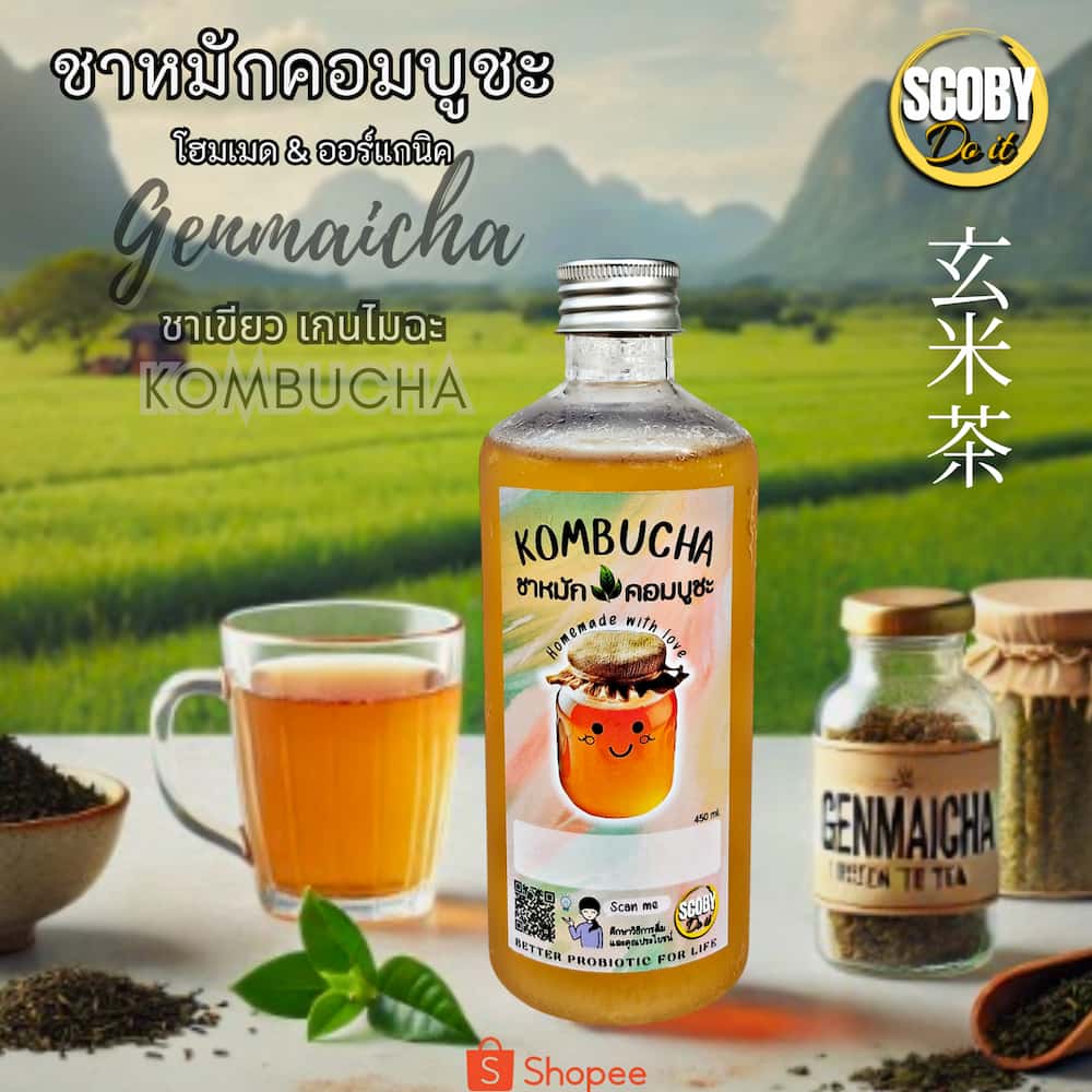 kombucha scoby do it