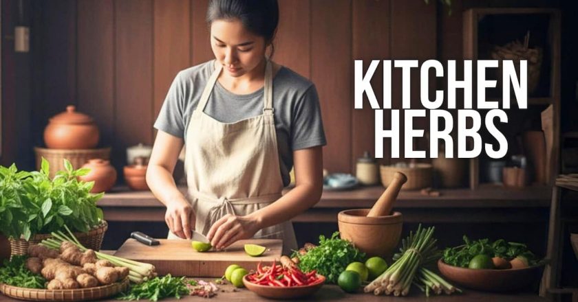 Kitchen Herbs